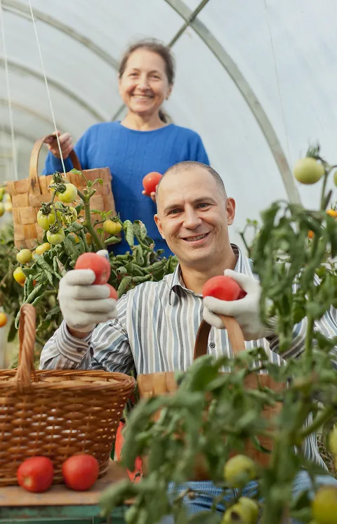 Соціальну інтеграцію